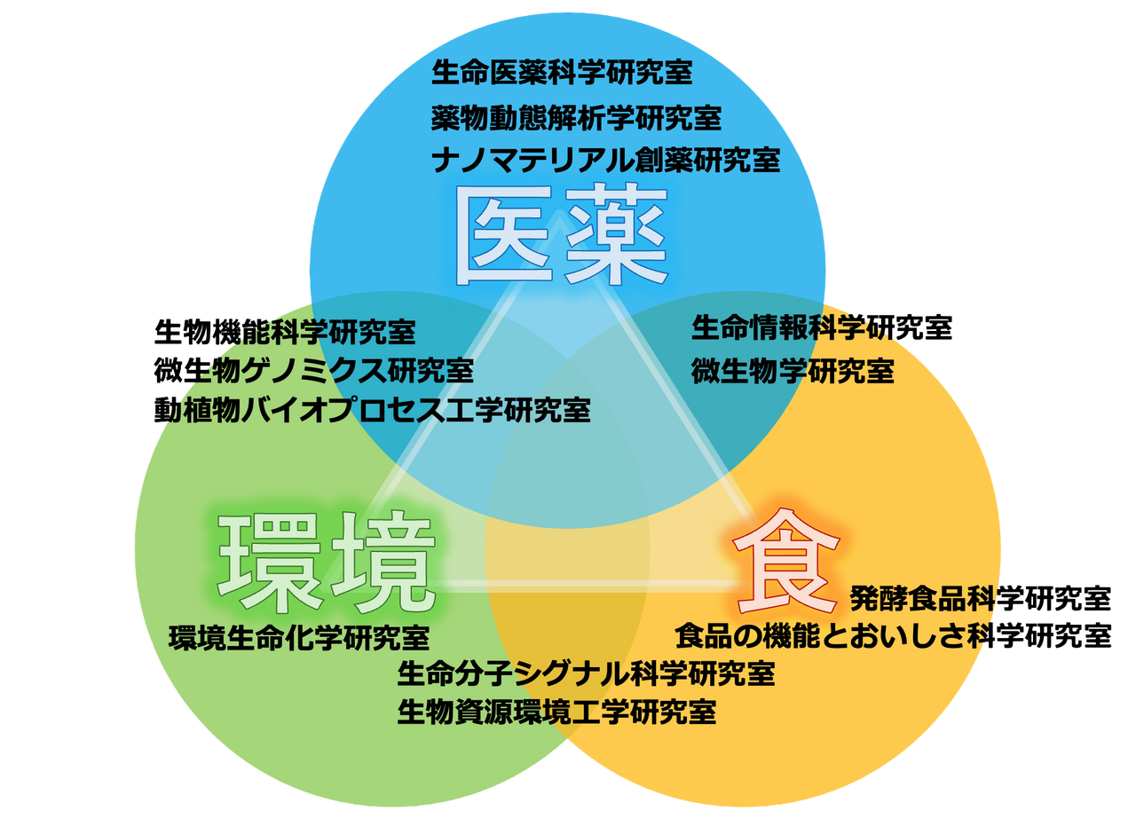 生物生命学科の研究室一覧